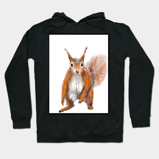 Red Squirrel Hoodie